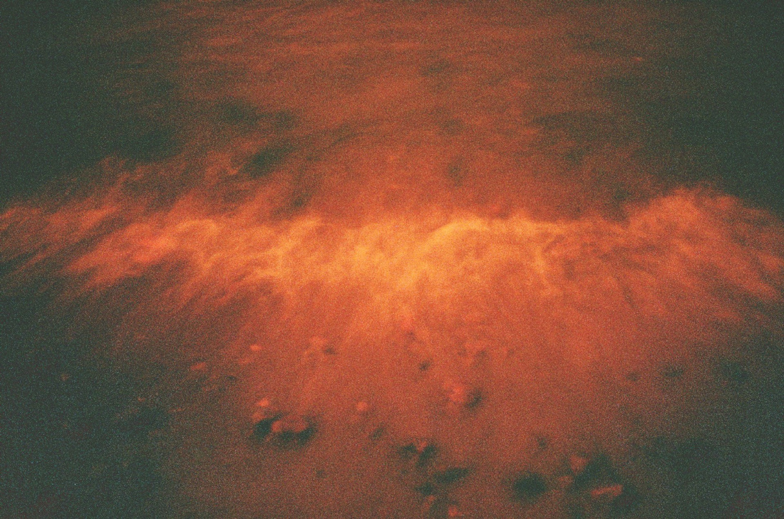 Flowers for Rita. Varya Kozhevnikova | Варя Кожевникова