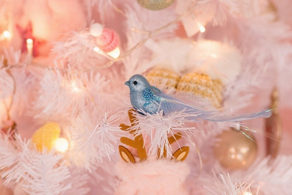 ДОМ БЕЗ РАМКИ. Семейный и свадебный фотограф в Воронеже Майя Добровольская