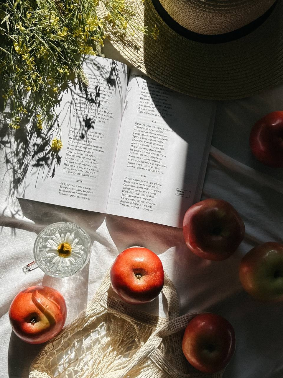 Марафон по предметной съемке и визуалу « Уют в кадре». Anushikcreates