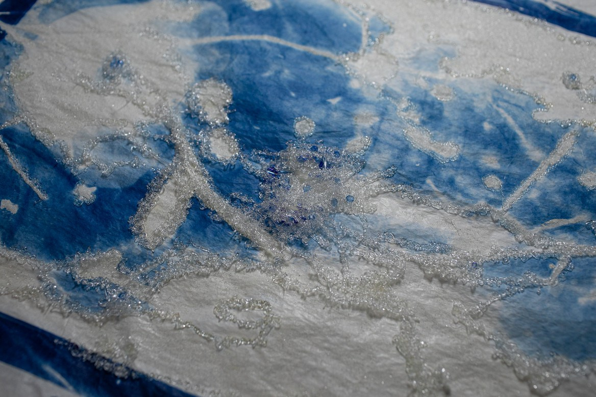CYANOTYPE. CONTEMPORARY ARTIST OLGA ANDRIYASH