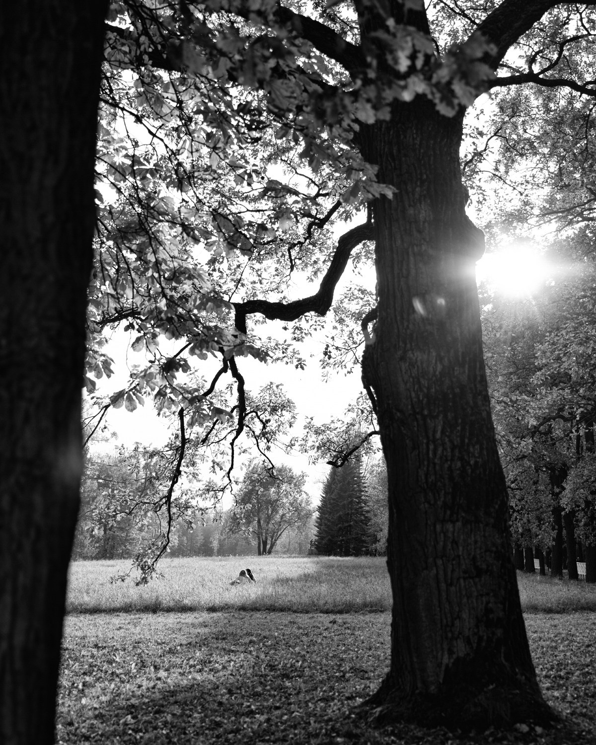 Принты. Фотограф Вера Фролова