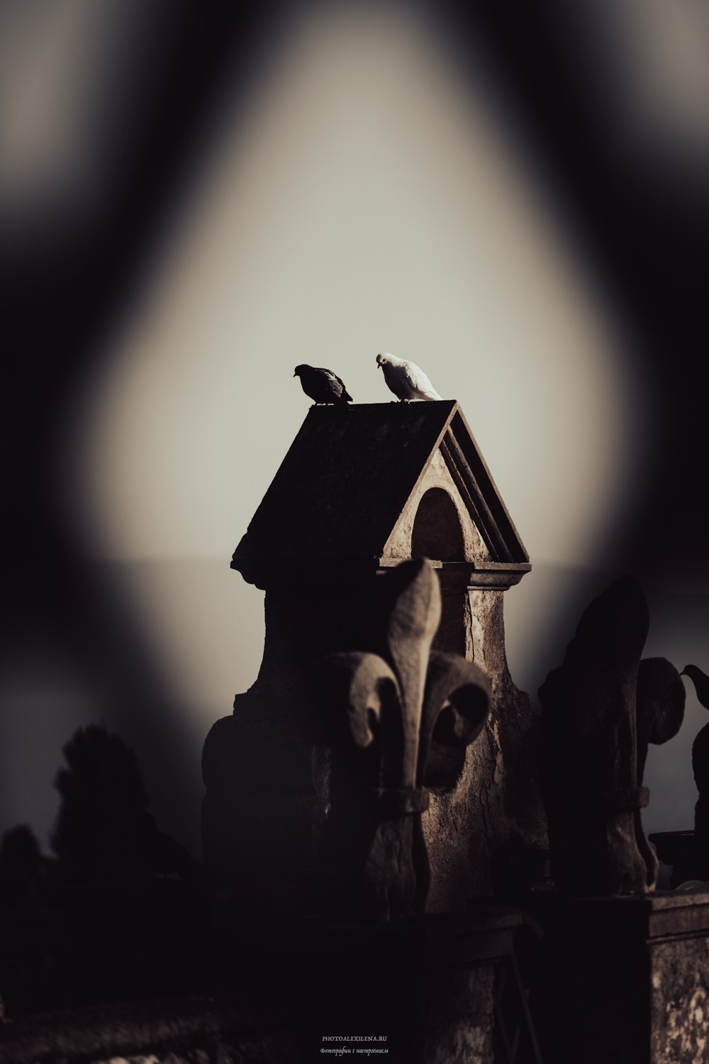 Vittoriale degli Italiani-Бывшая резиденция Габриеле Д’Аннунцио. Авторские стильные фотокартины