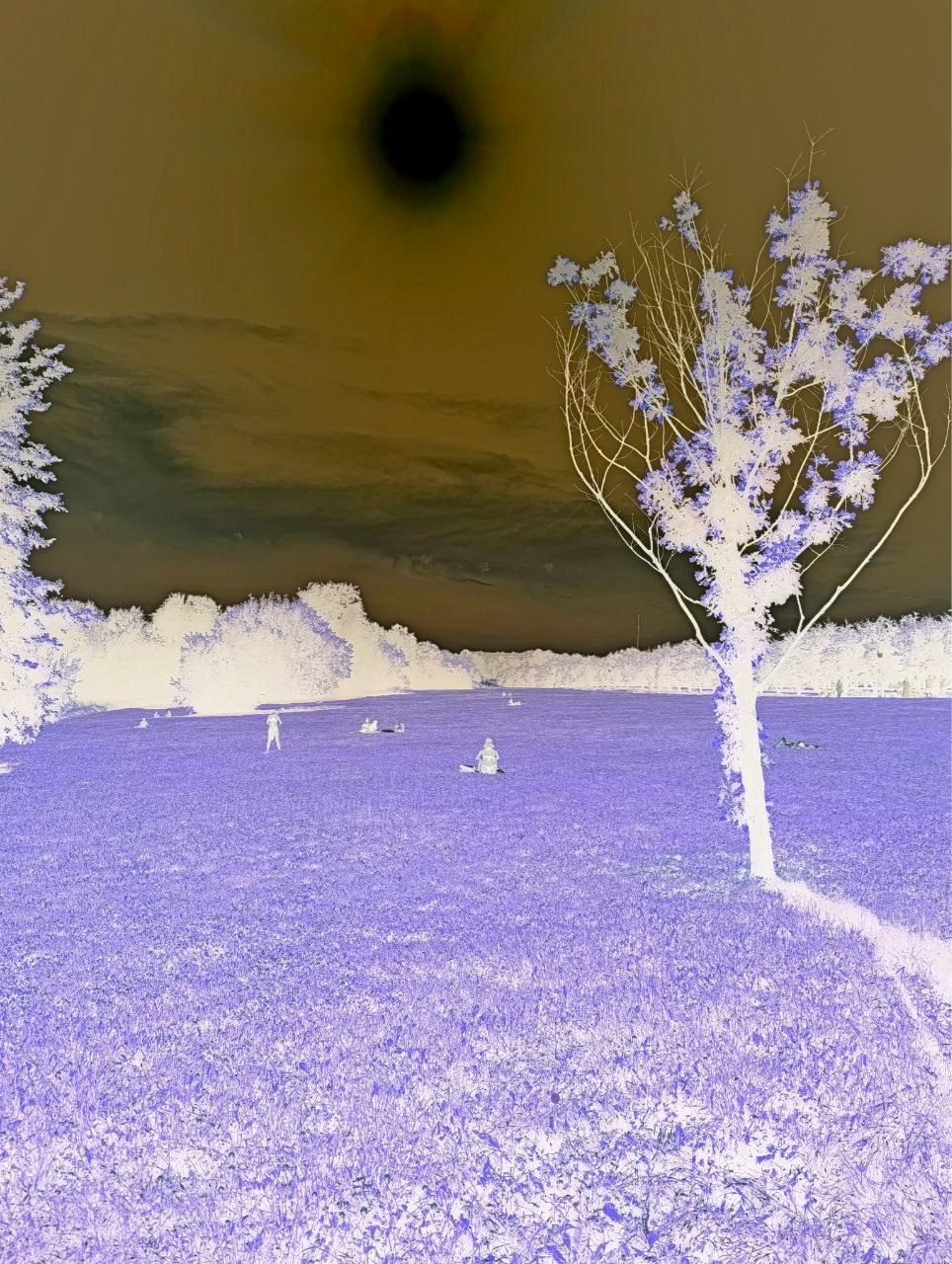 Елена Чернышова — Пираты воображения