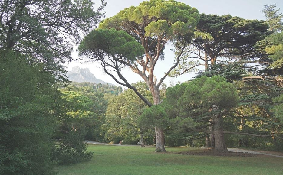 Локации для фотосессии в Ялте. Профессиональная фотосъемка в Крыму. Натуральные эмоции и живые кадры. Забронируйте дату прямо сейчас!