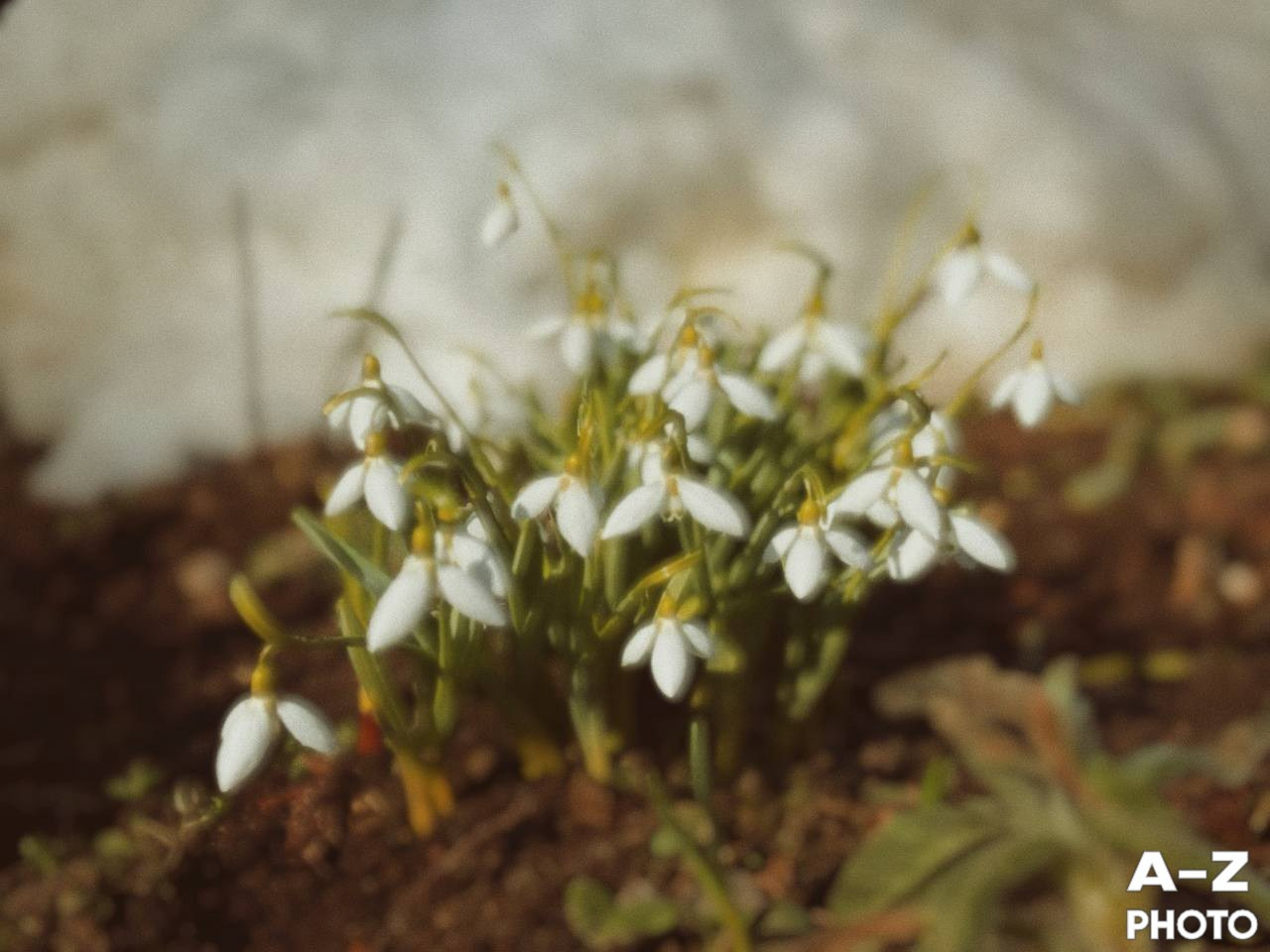 #ФОТОНЕДЕЛИ 30.03.2026. Женский семейный фотограф Тула Москва Захарова Анна