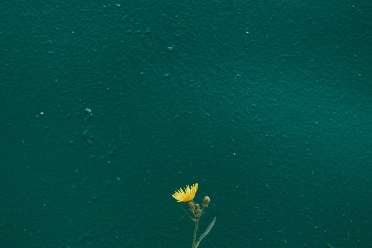 8-9/25. Иван Кобяков