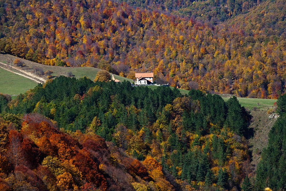 Осенняя Армения 2026 | Фотограф Дмитрий Купрацевич. Дмитрий Купрацевич профессиональный пейзажный и travel-фотограф