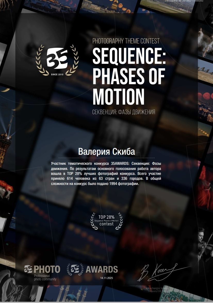 Конкурсы, выставки, достижения. Фотограф Валерия Скиба Москва, Краснодар, СПБ
