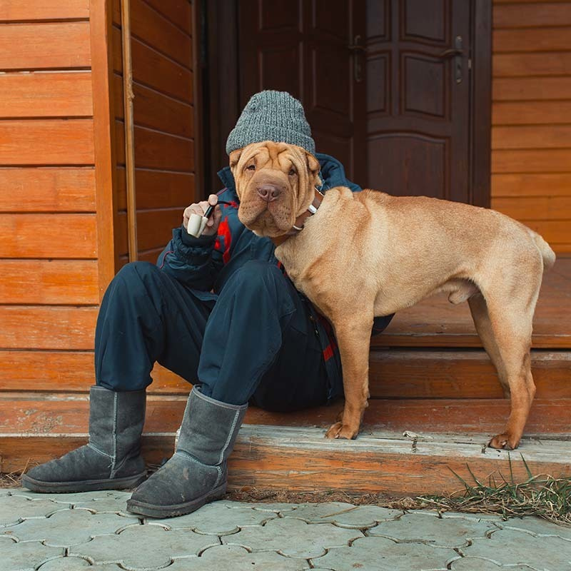 photo view one soul in two bodies sharpey