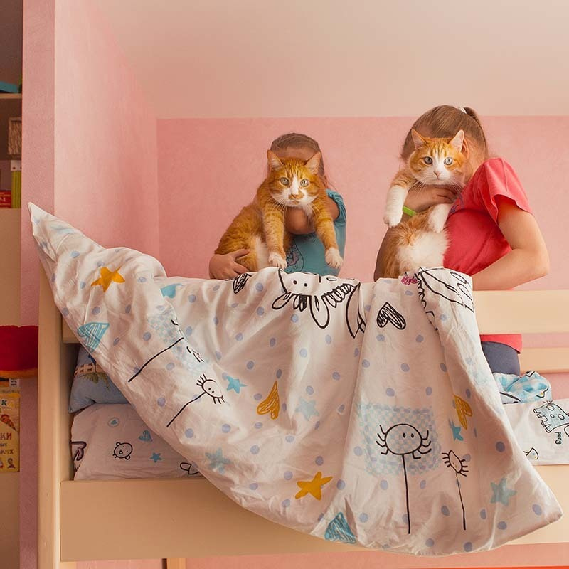 red cats girls children home