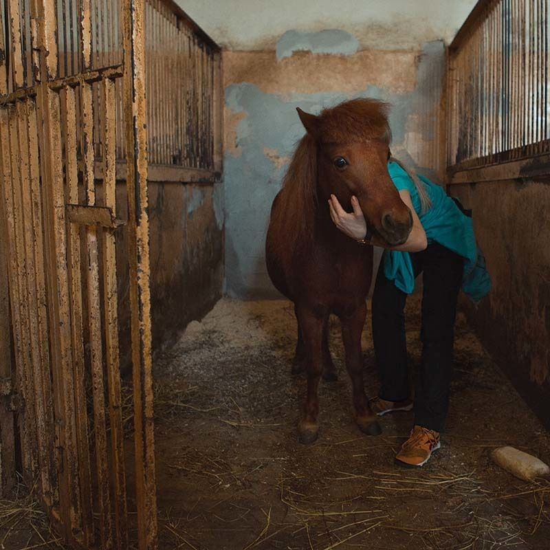 horse circus trainer