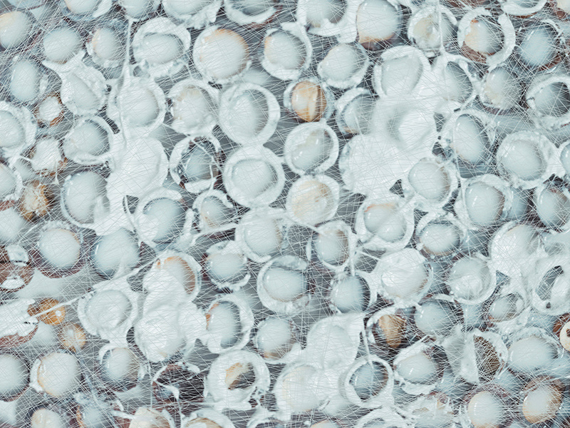 white still life food ecology