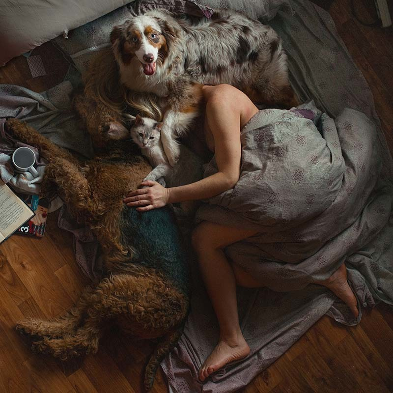 animals with owners love to dogs contemporary