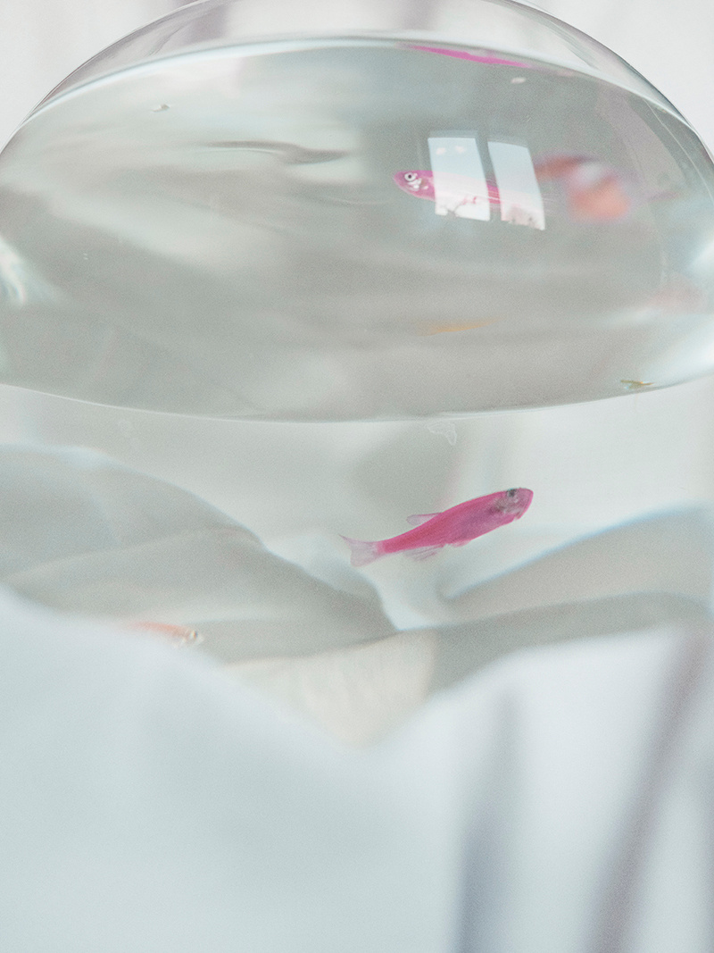 atlantis project russian photographer