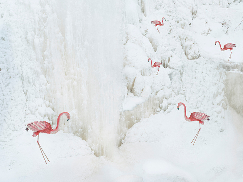 flamingo project atlantis