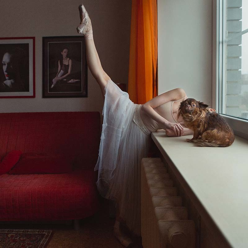ballerina and dog contemporary photo