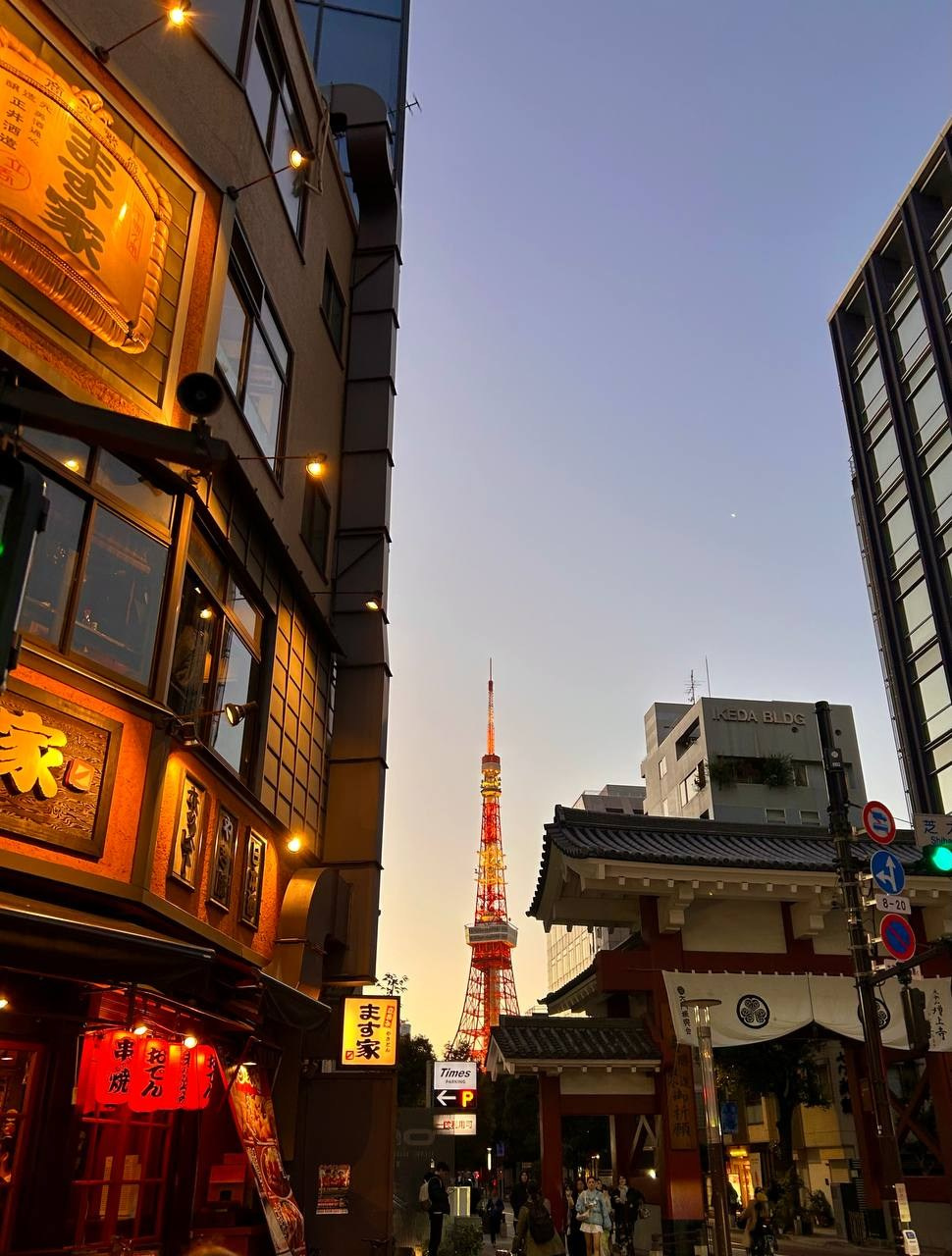 Уроки Японского Языка Онлайн с Люсине