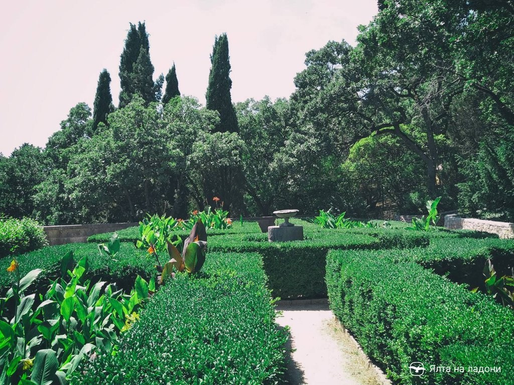 Локации для фотосессии в Ялте. Профессиональная фотосъемка в Крыму. Натуральные эмоции и живые кадры. Забронируйте дату прямо сейчас!