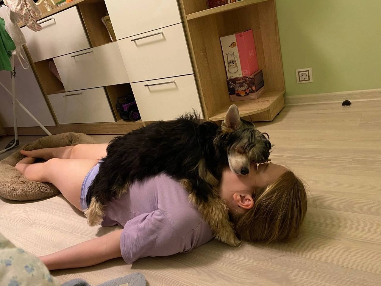 Сегодня Феликсу исполнилось ровно 6 месяцев!))). Питомник китайских хохлатых собак Poale Ell: купить щенка