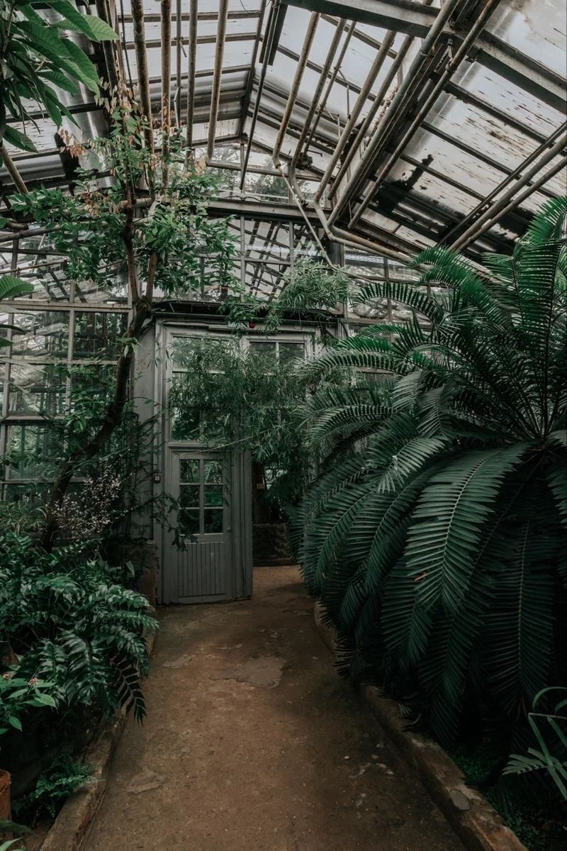 Локации для съемок в Москве. Фотограф НатаФото (Наталья Яковенко) Дмитров Москва Питер