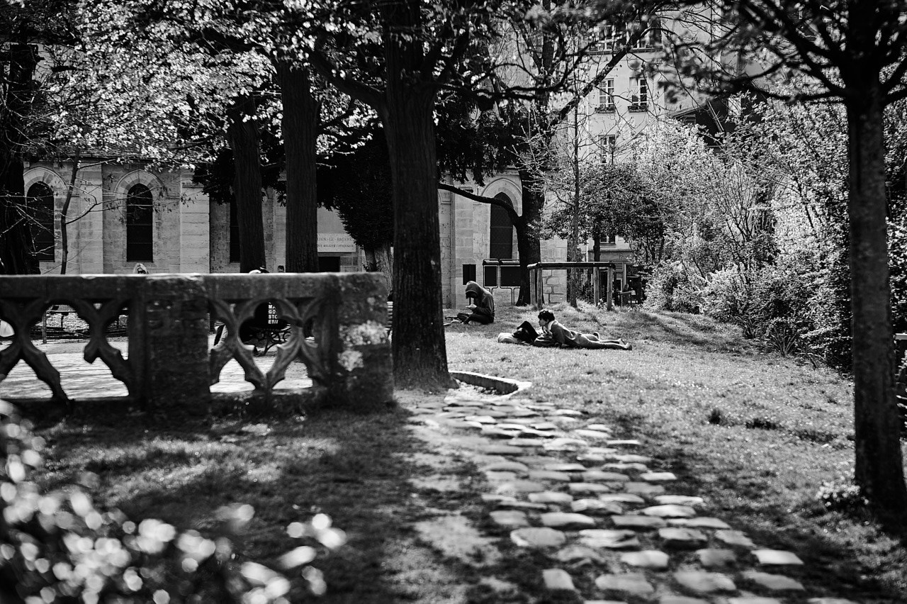 Paris: Download Error