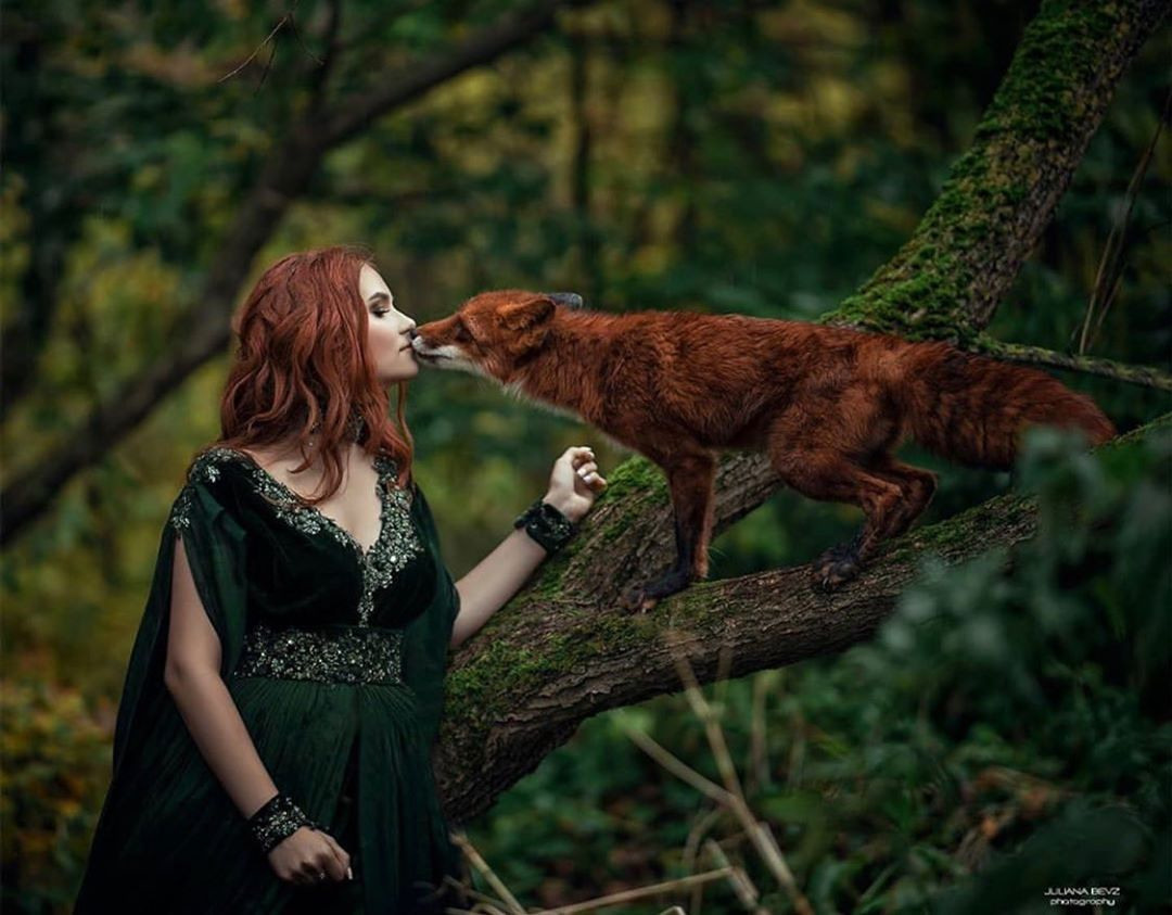 Шоу животные. Подрядчики и друзья сети свадебных площадок House for wedding