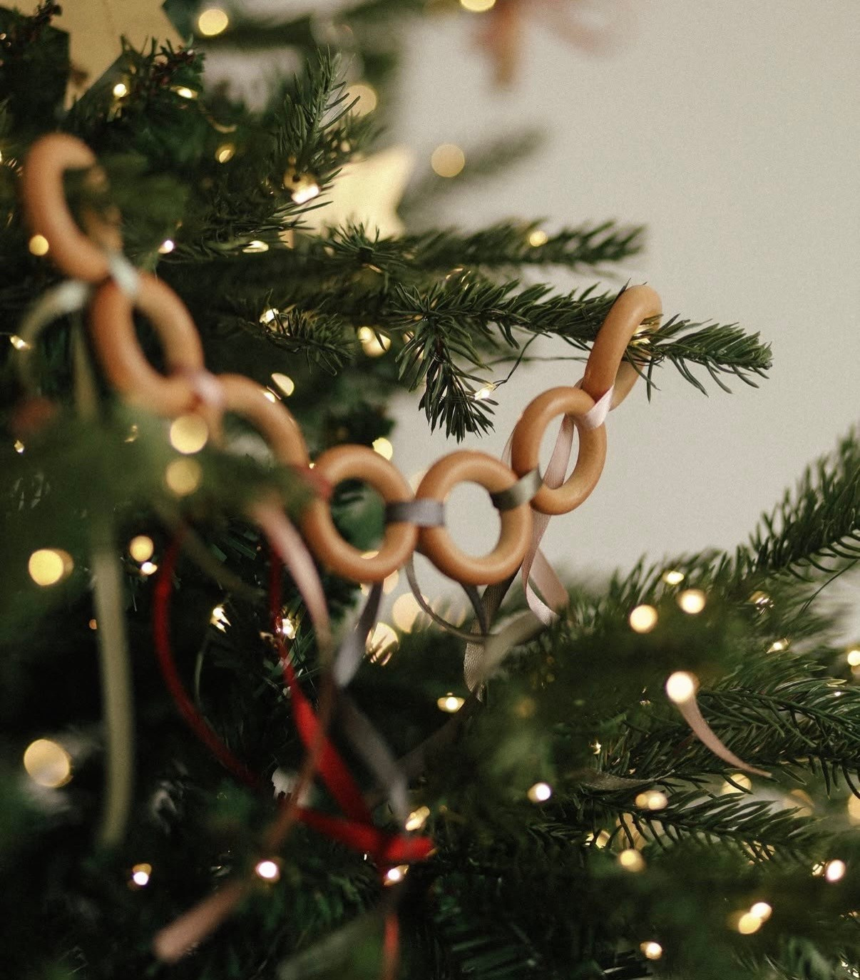 Новогодние фотостудии 2026. Семейный и детский фотограф в Бресте Дария Поляк