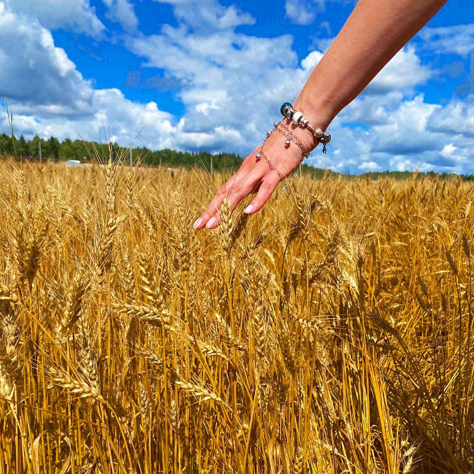 Путешествия как ресурс. Путешествия со смыслом