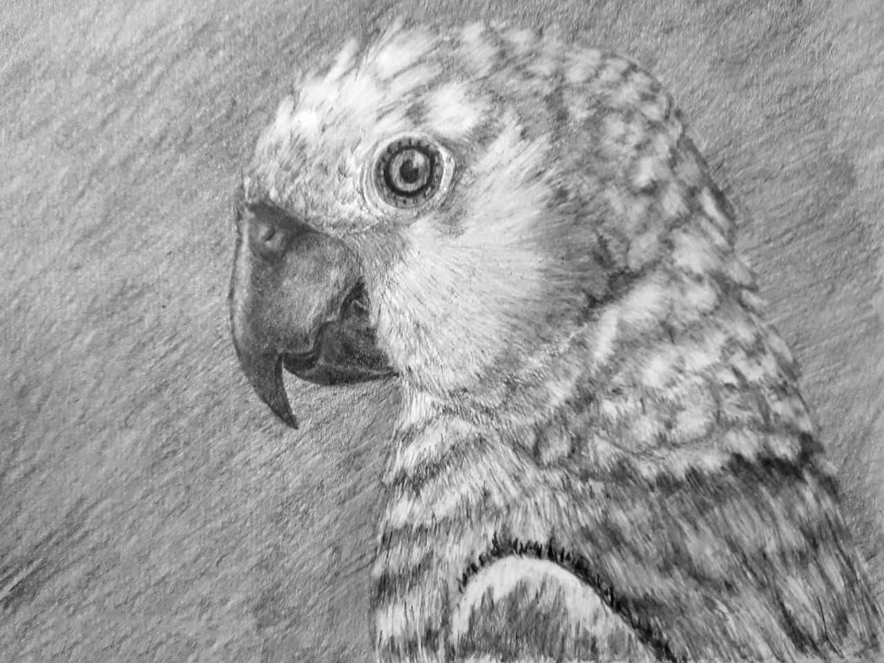 Любовь Шатунова | Портрет питомца по фото. Любовь Шатунова | Портреты по фото | Пейзажи на заказ | Натюрморты | Анимализм