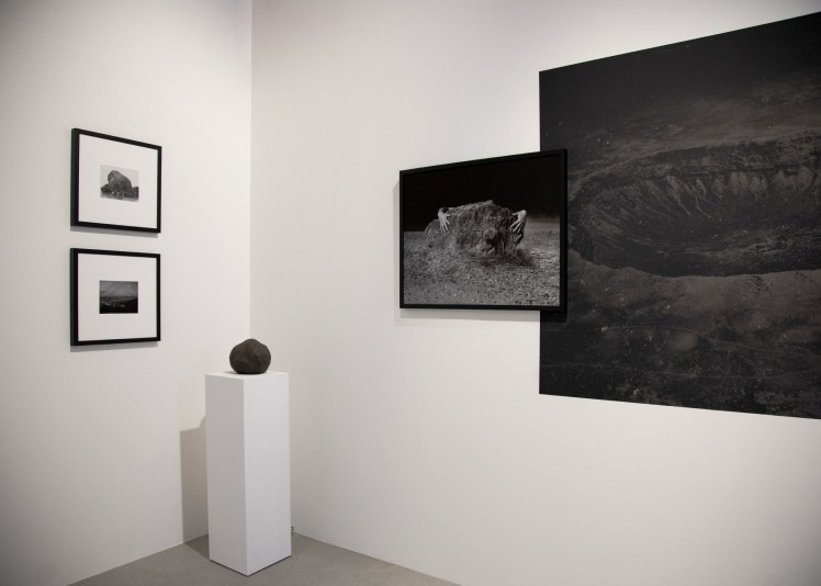 Книга Эмилии Мартин (Emilia Martin) «I saw a tree bearing stones in the place of apples and pears». Private image