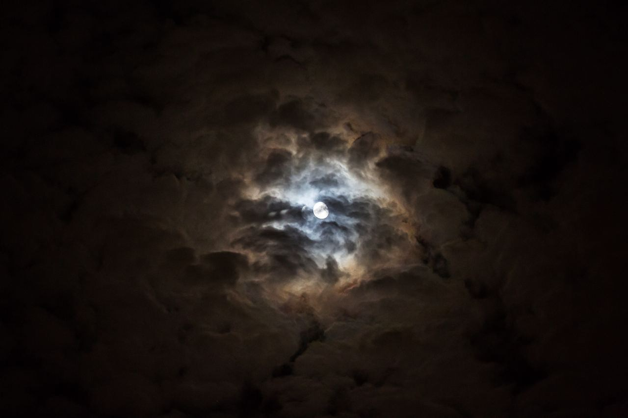 Проективный процесс. Фотограф в Москве Ольга Олейникова