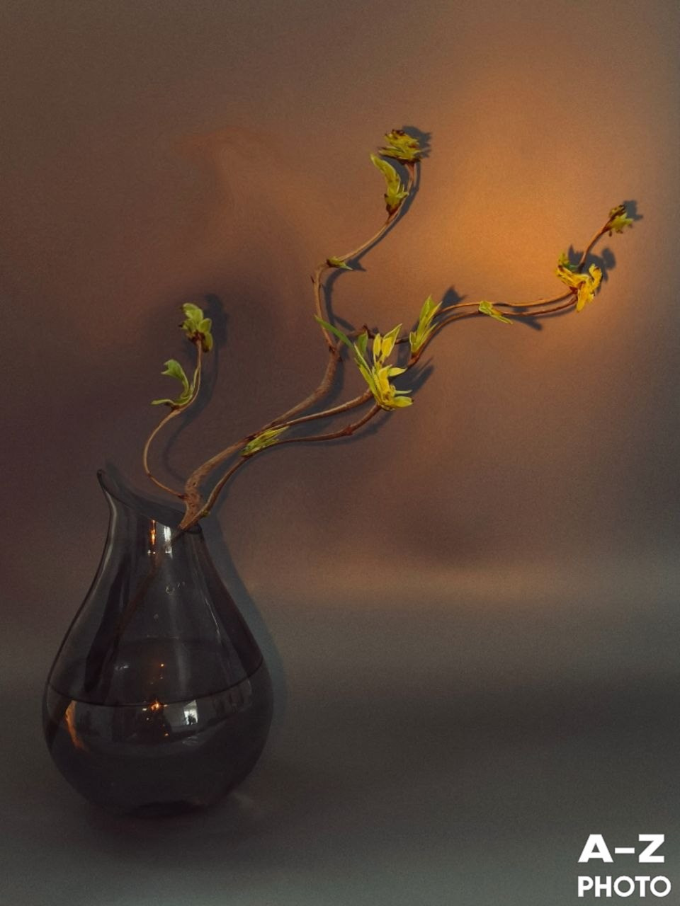 #ФОТОНЕДЕЛИ 06.04.2026. Женский семейный фотограф Тула Москва Захарова Анна