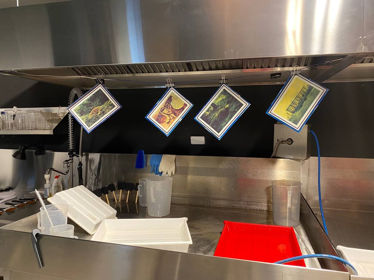 Ольга Михальчук стала резидентов печатной лаборатории в ГЭС-2. Ольга Михальчук, художница и фотограф