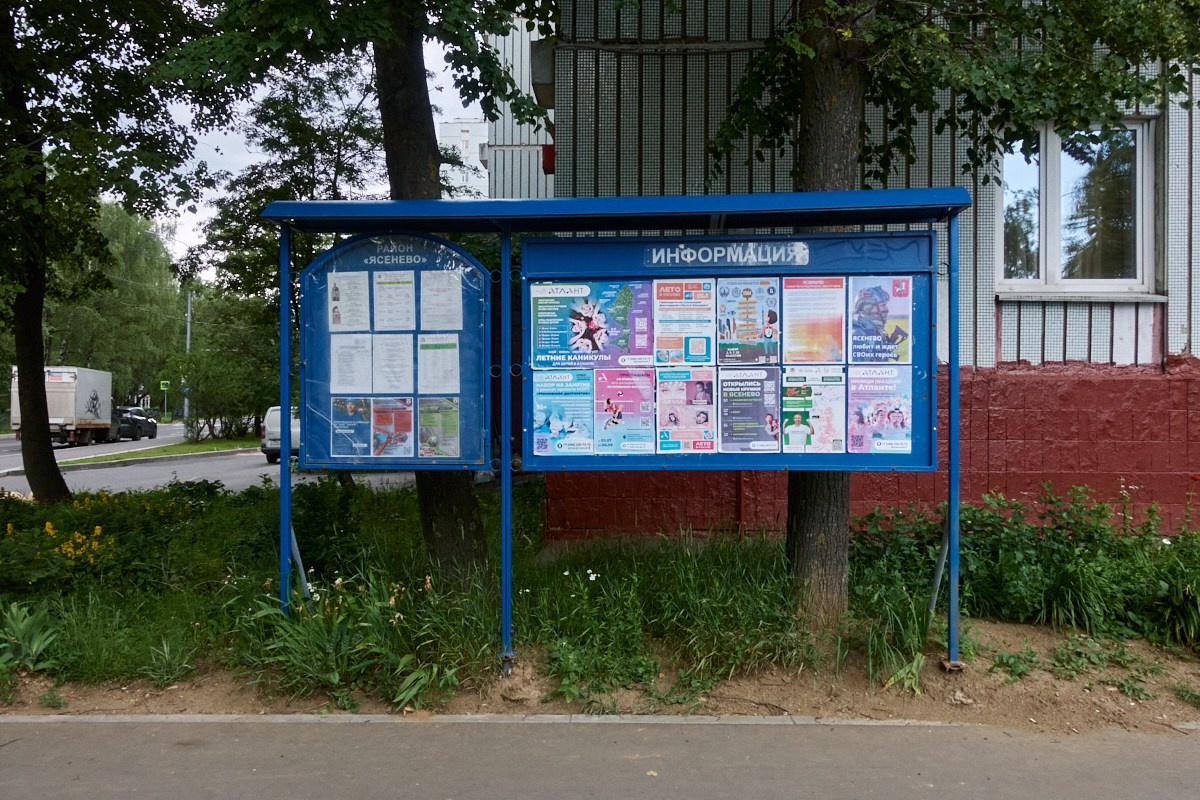 Сезон цветения полыни. Иван Кобяков