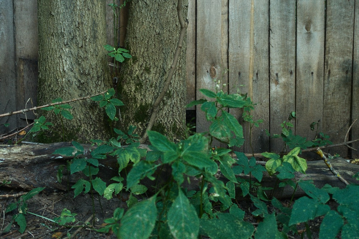 8-9/25. Иван Кобяков