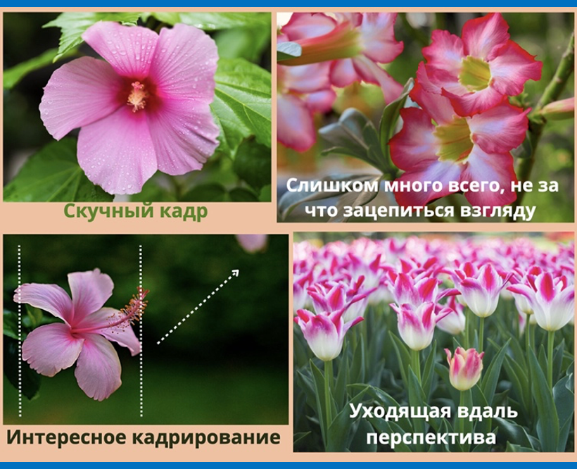Перспектива и дальние планы на фотографии. Гид и фотограф в Валенсии Новиков Михаил