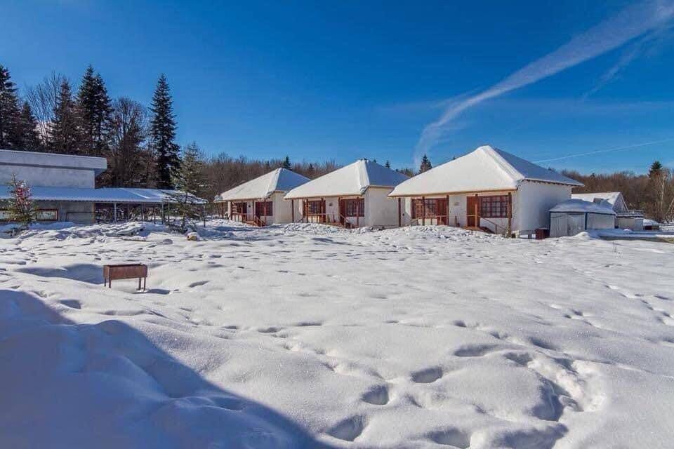 Эко Туризм Камышанова поляна. Инвестиционный консалтинг Недвижимость