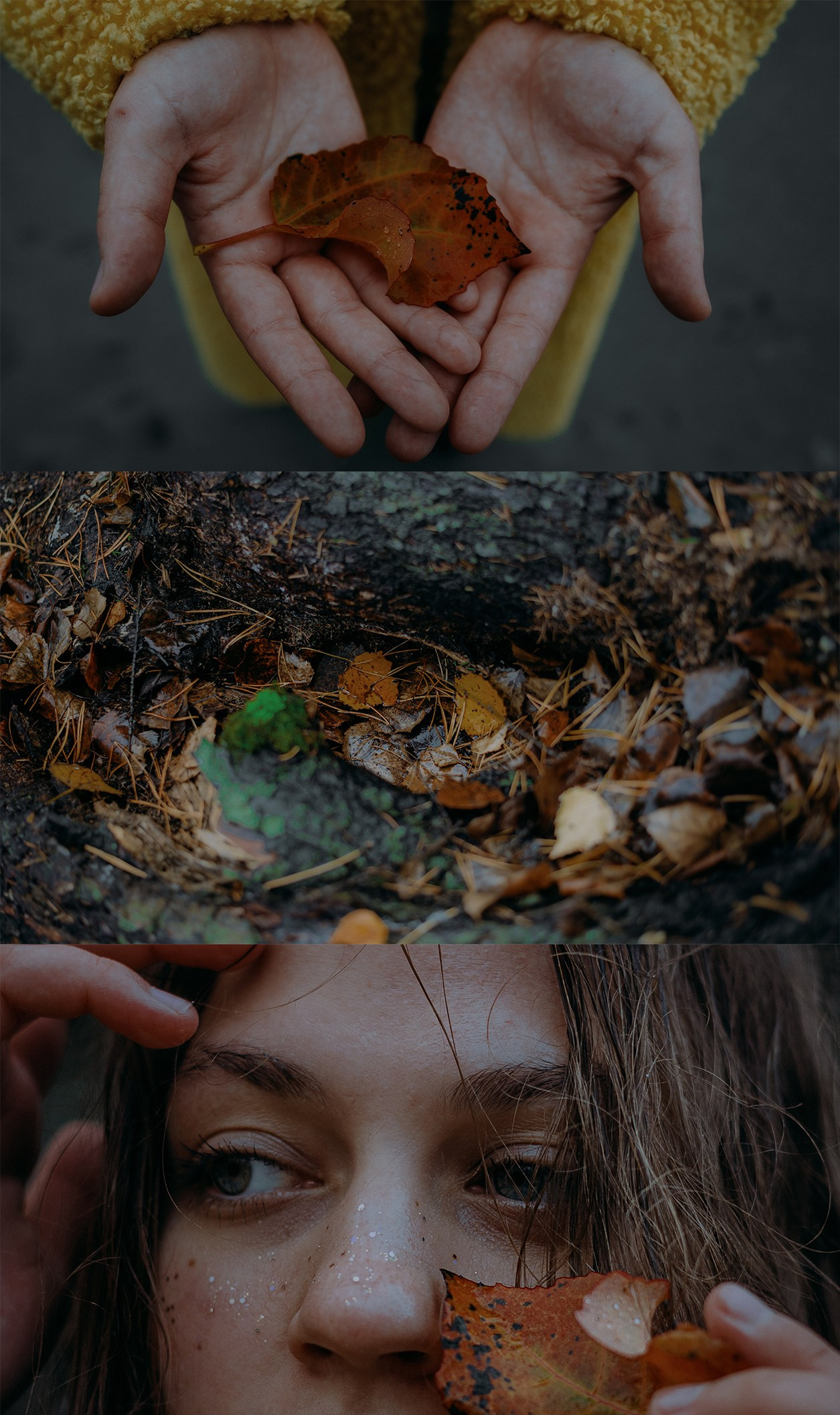 П о к о й. Творческий фотограф Сургут/Москва (портреты, свадьбы, lovestory…)