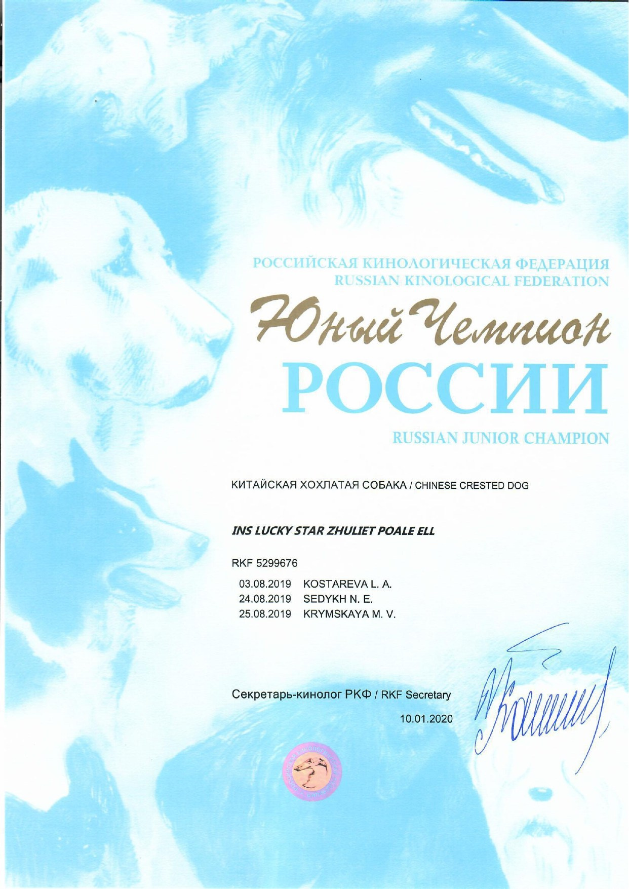 Ins Lucky Star Zhuliet Poale Ell. Питомник китайских хохлатых собак Poale Ell: купить щенка