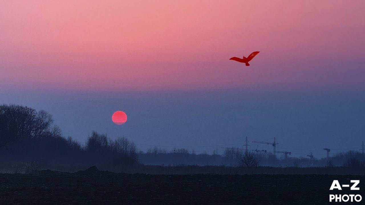 #ФОТОНЕДЕЛИ 16.03.2026. Женский семейный фотограф Тула Москва Захарова Анна