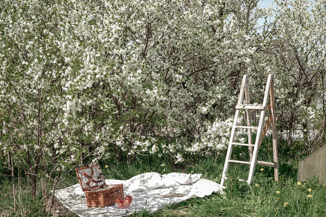 Площадка Дача. Фотограф Герман Локоцкий, семейные фотосессии в Санкт-Петербурге