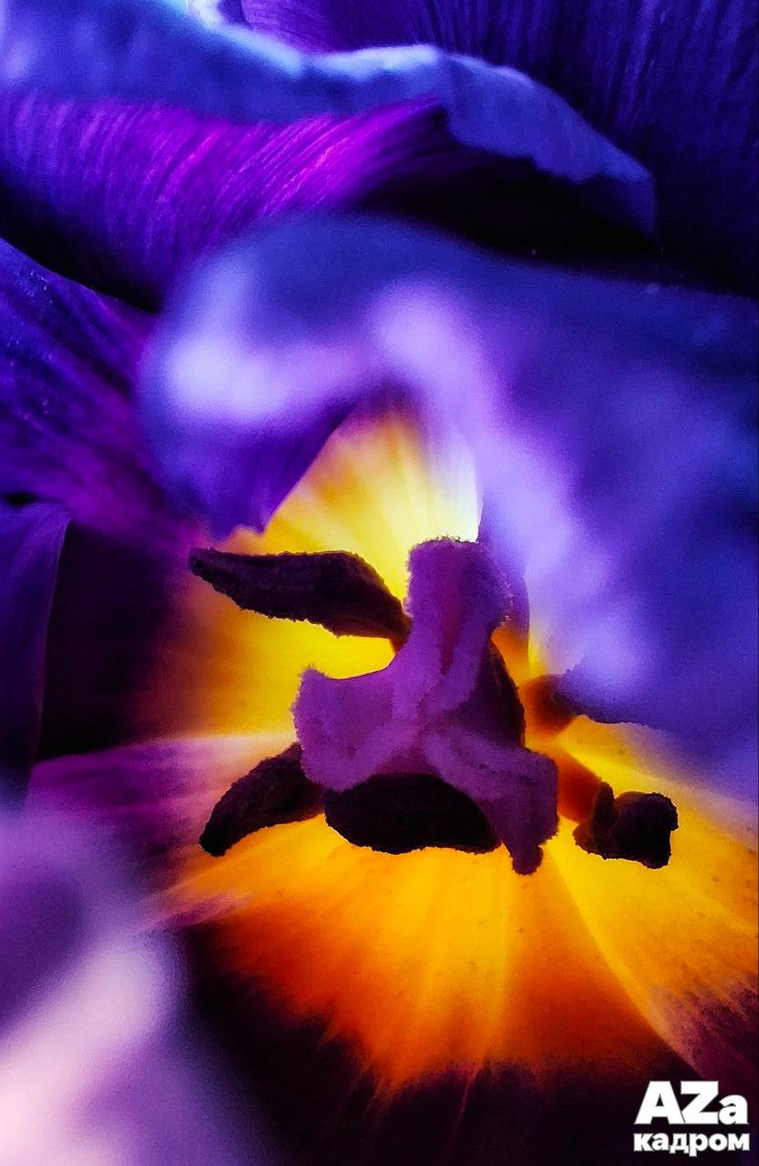 Дыхание весны. Фотоклуб AZакадром. Женский семейный фотограф Тула Москва Захарова Анна