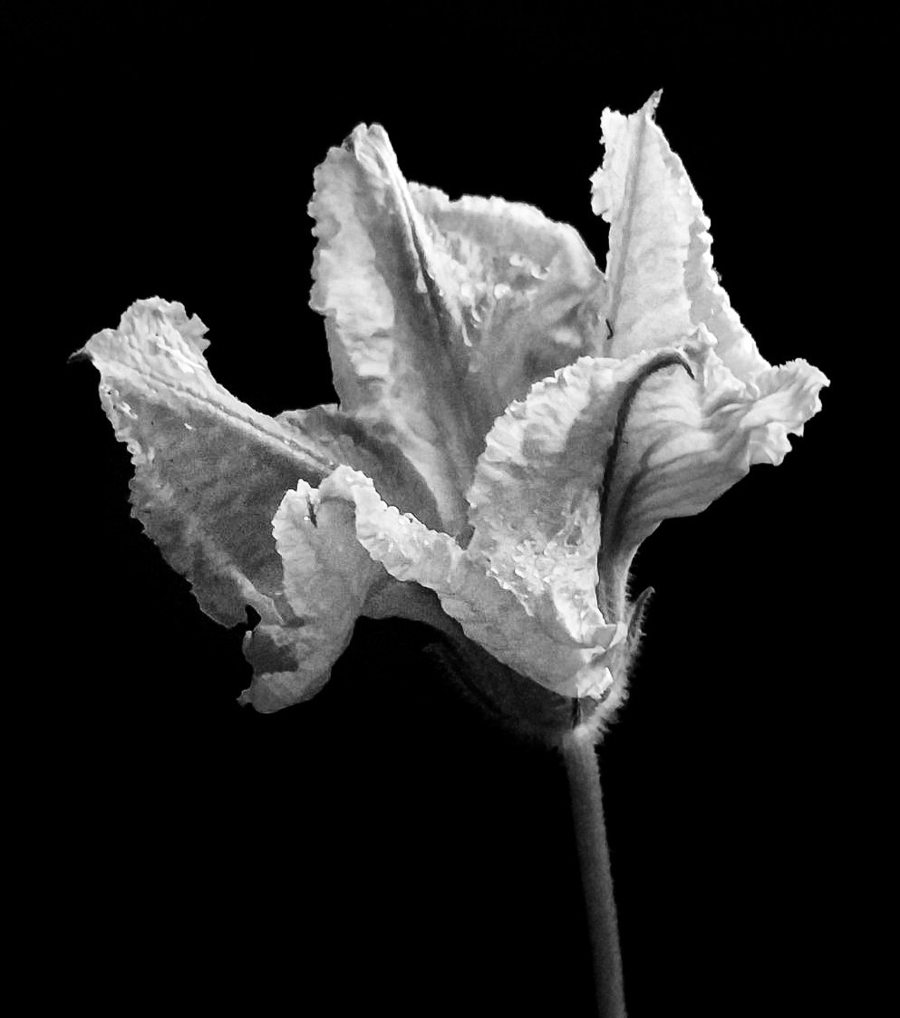 Курс «С нуля»