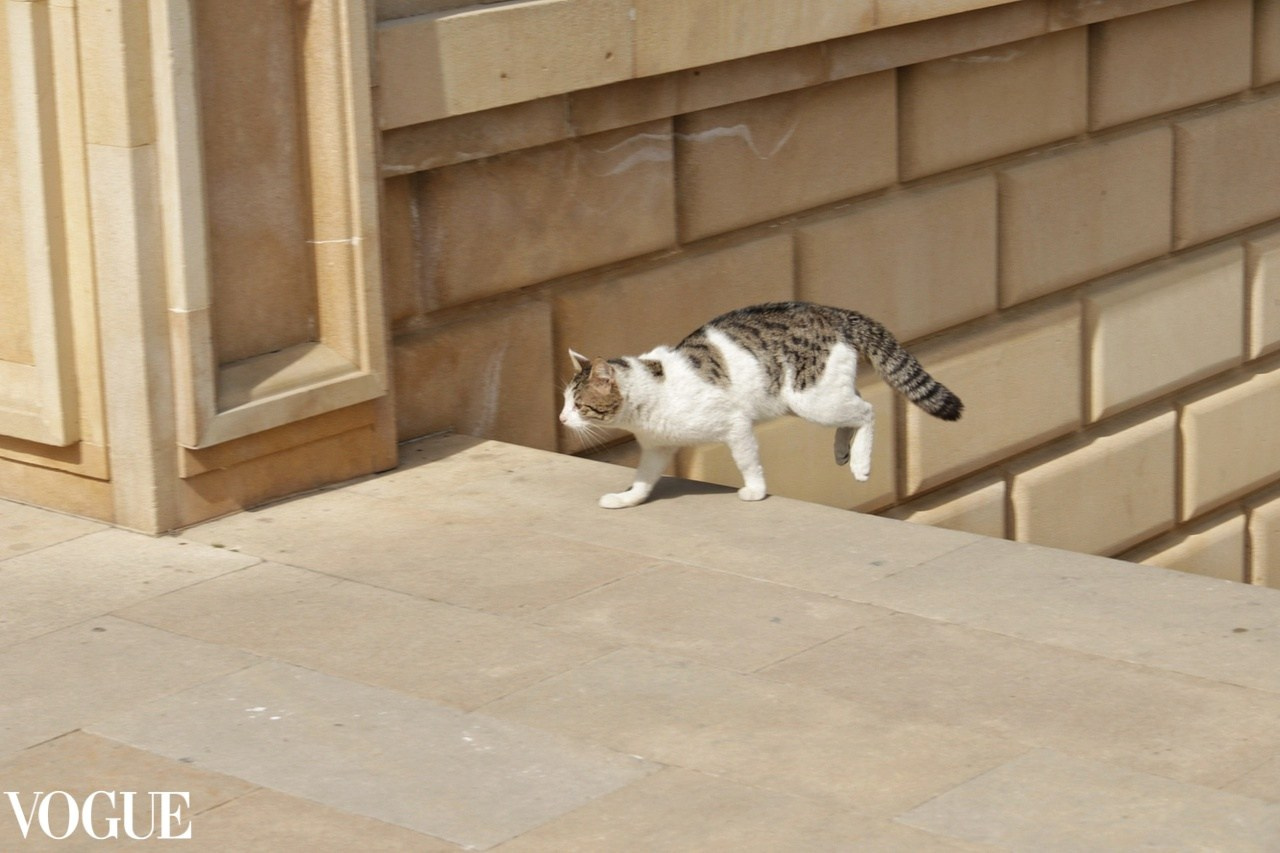 Наталия Фролова. Фотограф. Москва