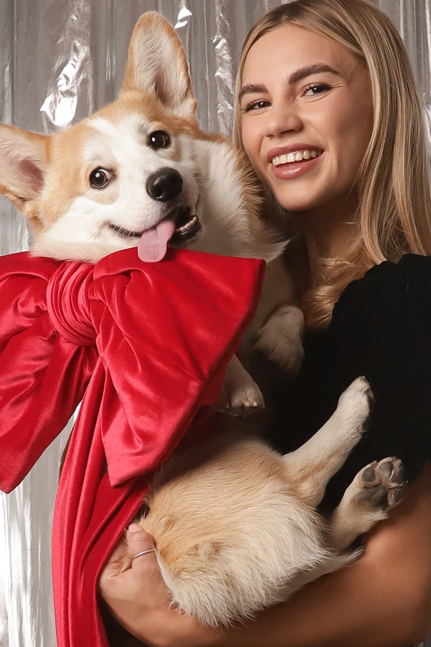 Серебристый Новогодний