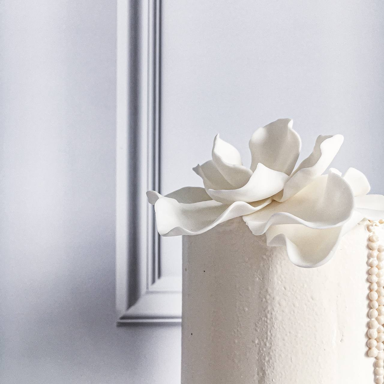 Торт Ирина Рябина. Подрядчики и друзья сети свадебных площадок House for wedding