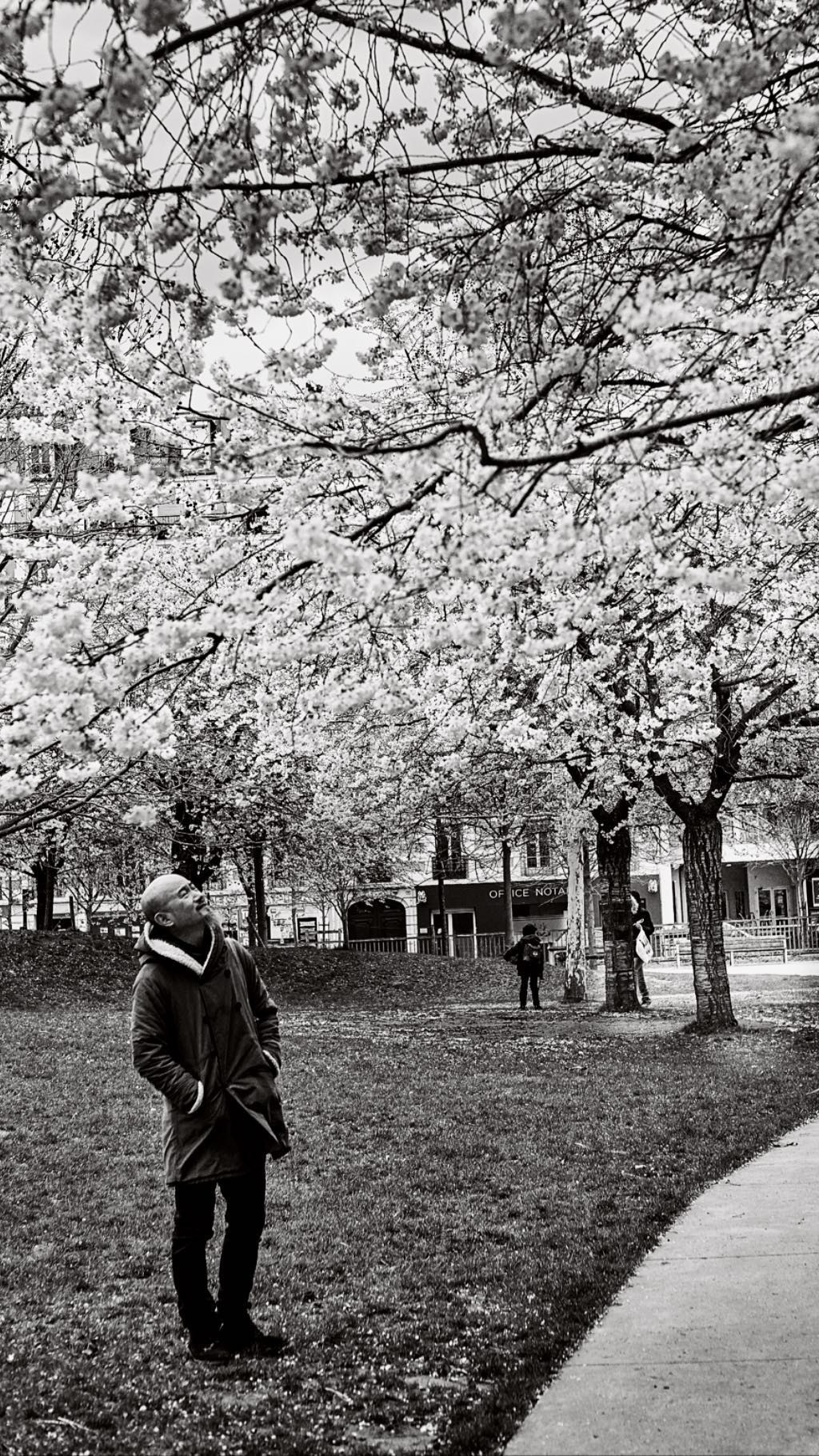 Paris: Download Error