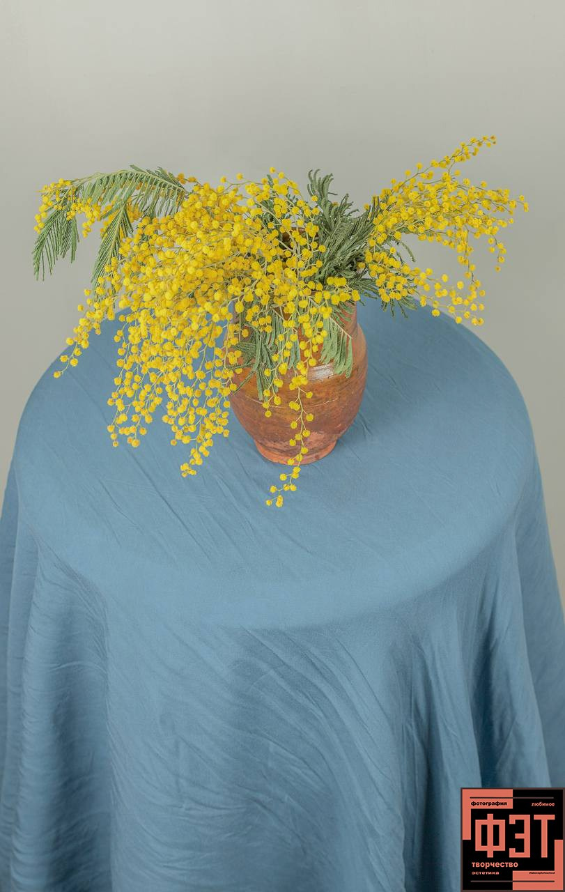 Фотопроект «ФЭТ: Фотография, Эстетика, Творчество»