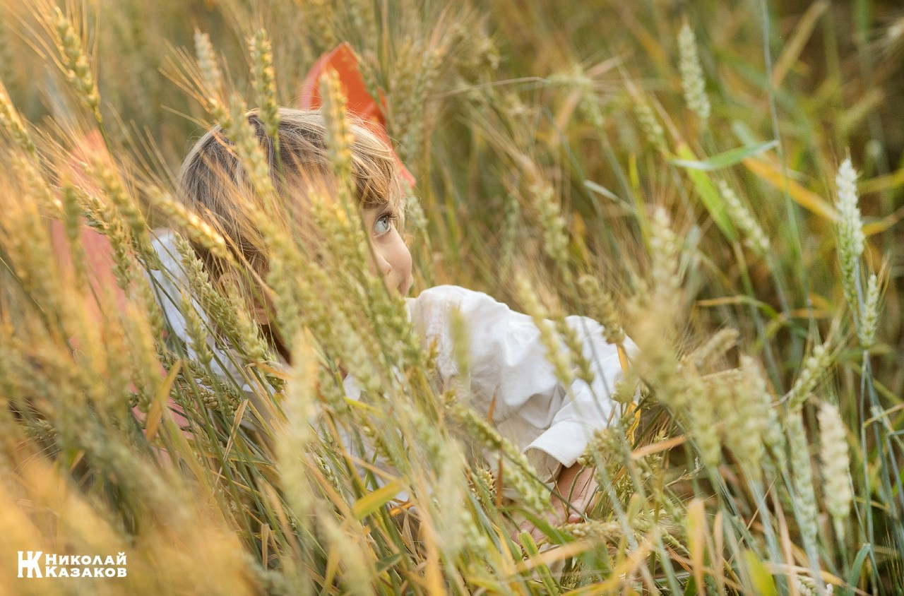 Позитивный портрет маленького мальчика с светлыми волосами в лучах заката, играющий в пшеничном поле во время фотосессии.