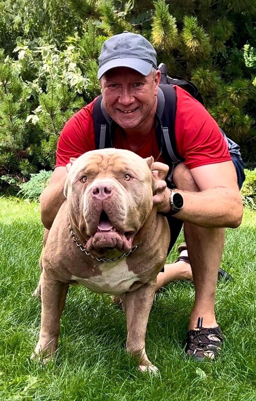 Хантер. Американские булли XL в г. Калининград. Питомник Great Bully UNIVERSE